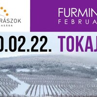 Furmint February in Tokaj