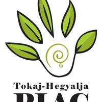 Tokaj-Hegyalja Market